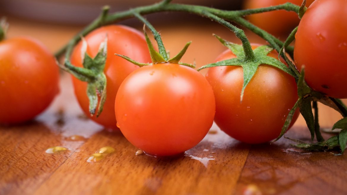 Tomaten im Fokus: Erfolgreiche Anzucht und eine überraschende Spezialität